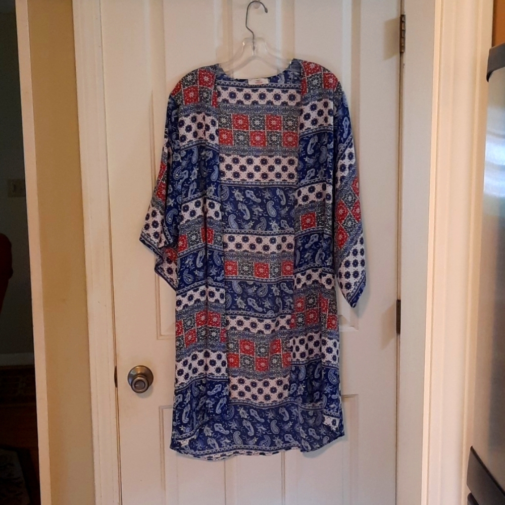 Hummingbird Ruana Purchased from Stitch Fix